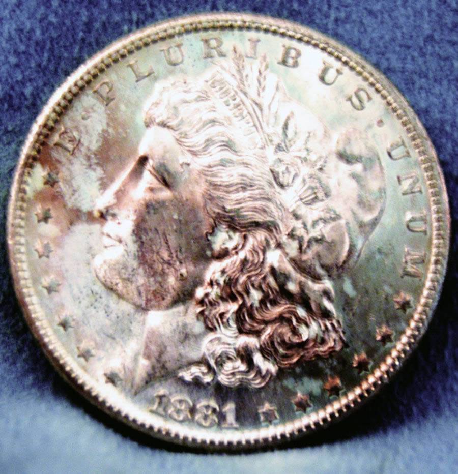 1881-S-Morgan-Dollar,-ANACS-Photo-Certificate,-Grade-It!