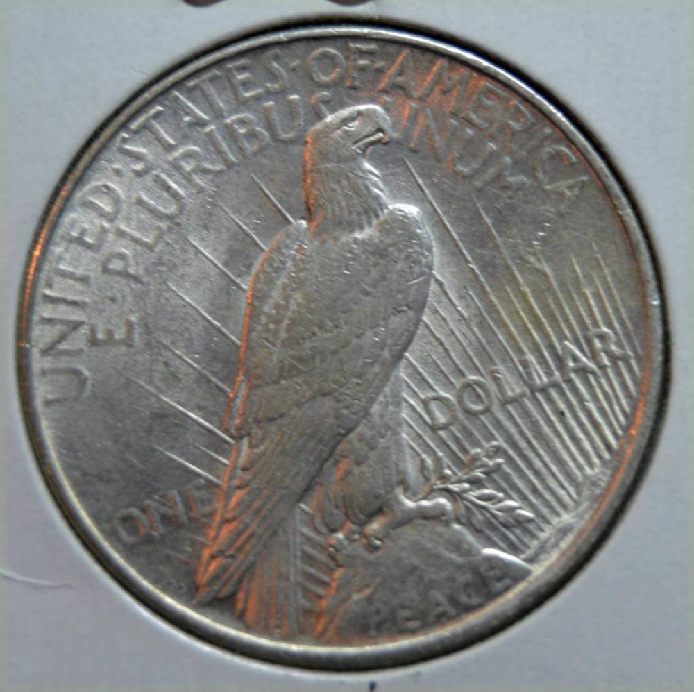 1922-Peace-Dollar-For-Grading-Raw