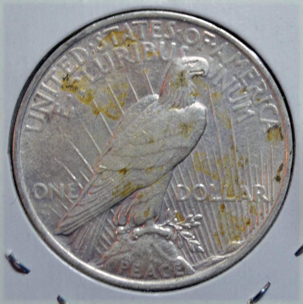 The-11-Days-Of-Peace-Dollars-Part-2!
