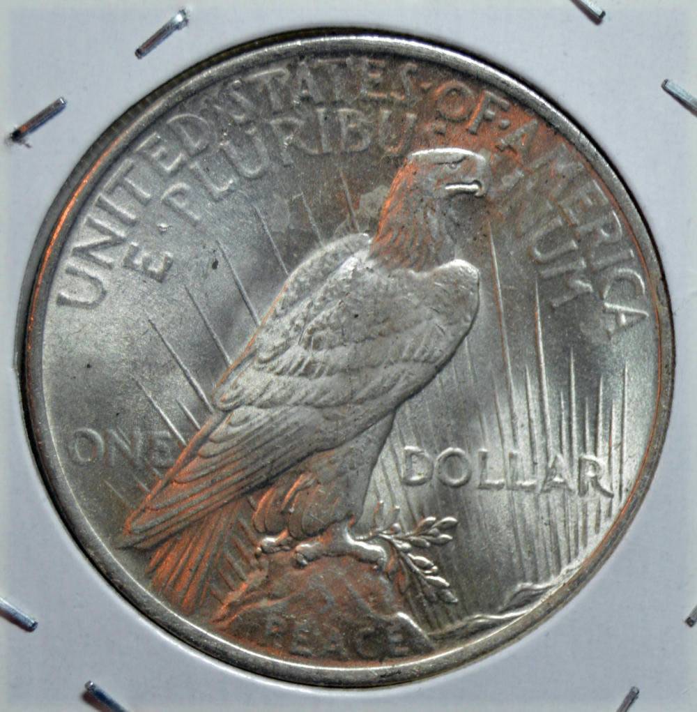 The-11-Days-Of-Peace-Dollars-Part-2!