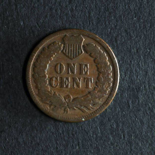 1878-Indian-Head-Cent-For-Grading,-Raw