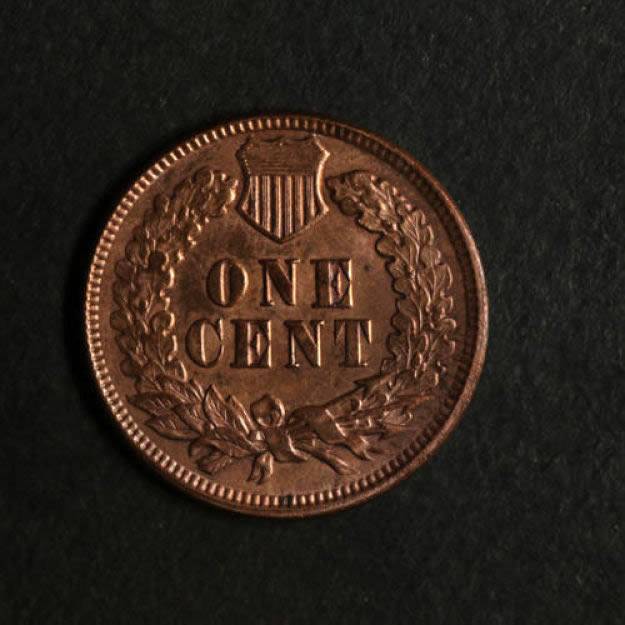 1896-Indian-Head-Cent-For-Grading,-Au/Unc?