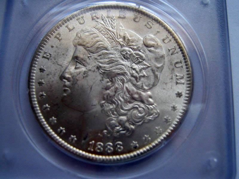 1888-Morgan-Dollar-For-Grading,-PCGS-Rattler-Holder