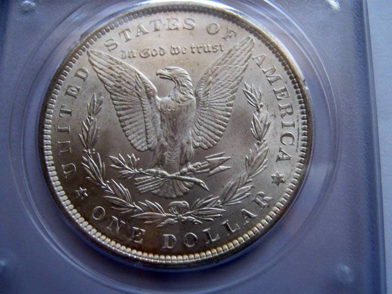 1888-Morgan-Dollar-For-Grading,-PCGS-Rattler-Holder