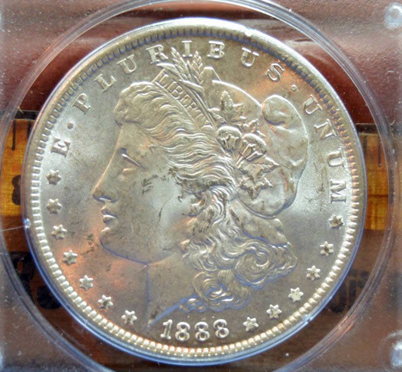 1888-Morgan-Dollar-For-Grading,-PCGS-Rattler-Holder