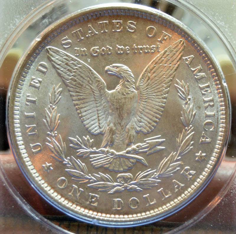 1888-Morgan-Dollar-For-Grading,-PCGS-Rattler-Holder