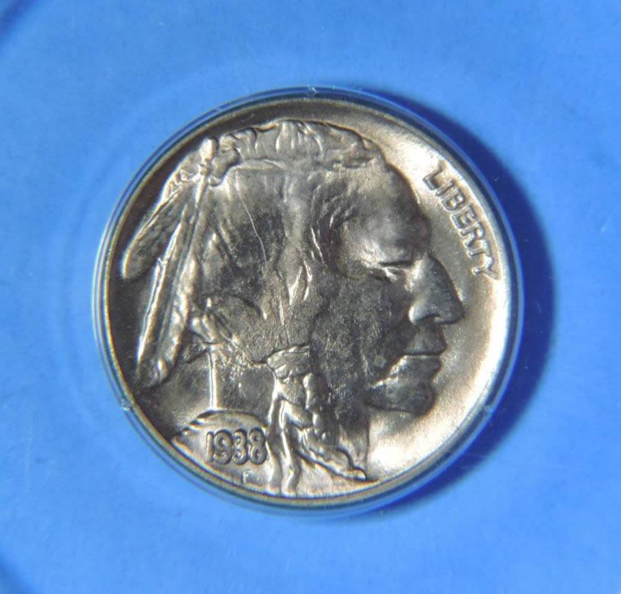 The-23-Days-Of-Buffalo-Nickels-Ii