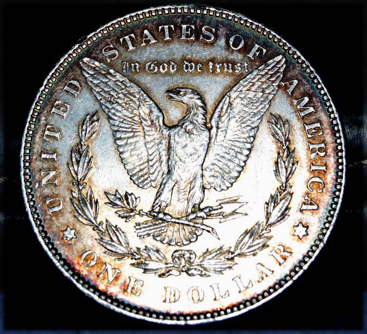 1878-Morgan-Dollar-For-Grading-Vam-33