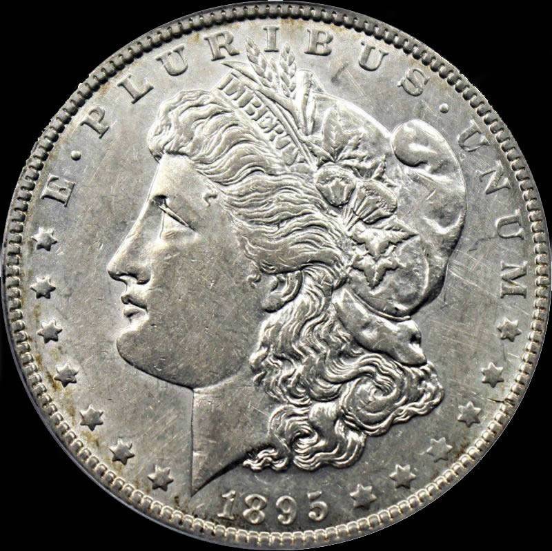 1895-O-Morgan-Dollar-For-Grading-Vs.-PCGS,-VAM-3A-Bearded-Eagle-Rusty-Die