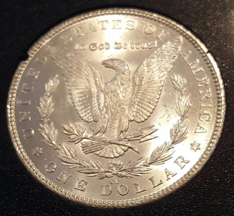 1884-CC-GSA-Morgan-Dollar-For-Grading