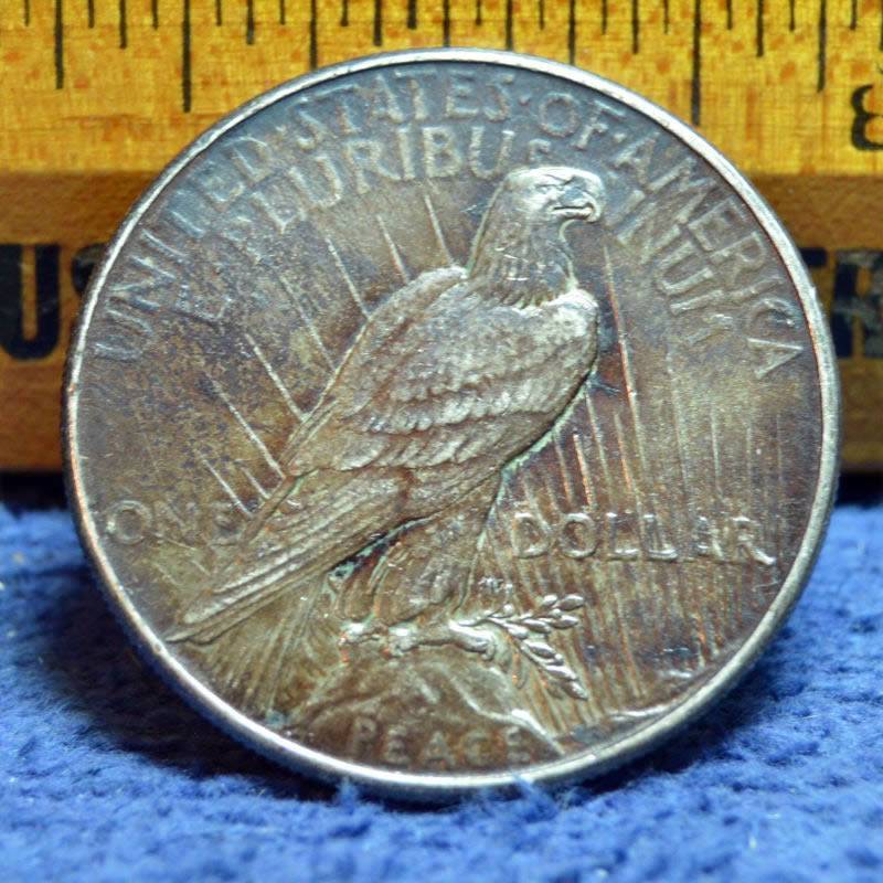 Bizarro-Toned-1934-Peace-Dollar-For-Grading
