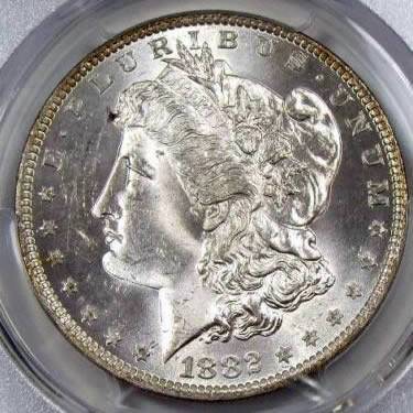 1882-O-Morgan-Dollar-For-Grading-Vs.-PCGS.-End-Roll-Toner?