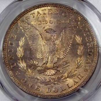 1882-O-Morgan-Dollar-For-Grading-Vs.-PCGS.-End-Roll-Toner?
