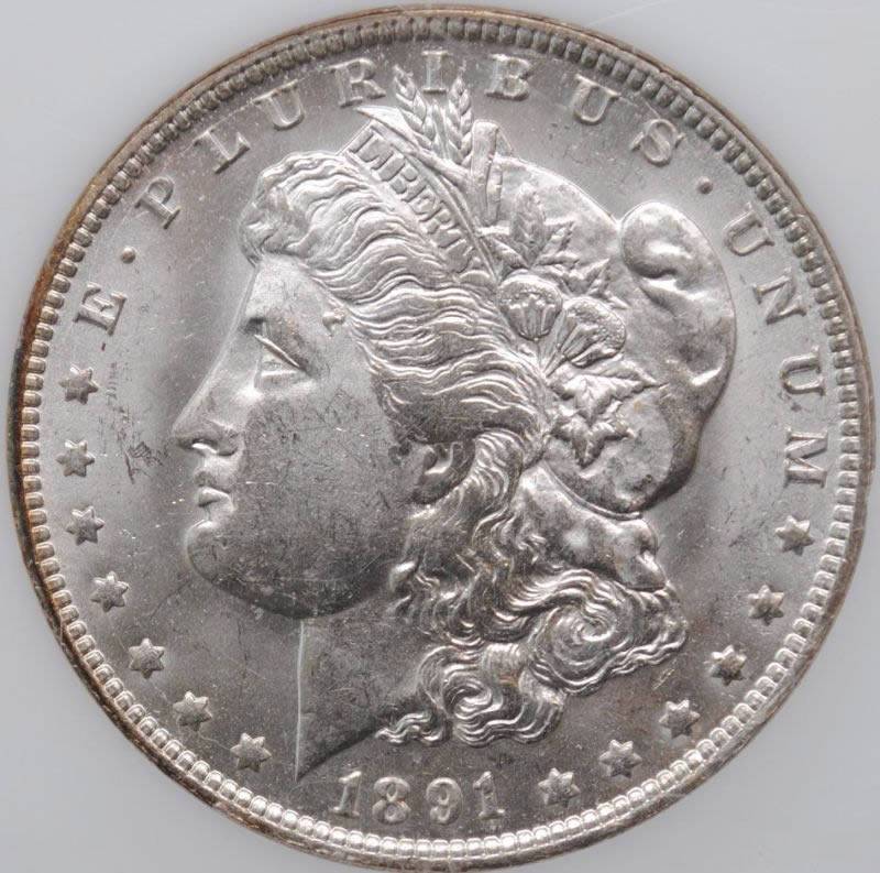 1891-O-Morgan-Dollar-For-Grading-Vs.-TPG