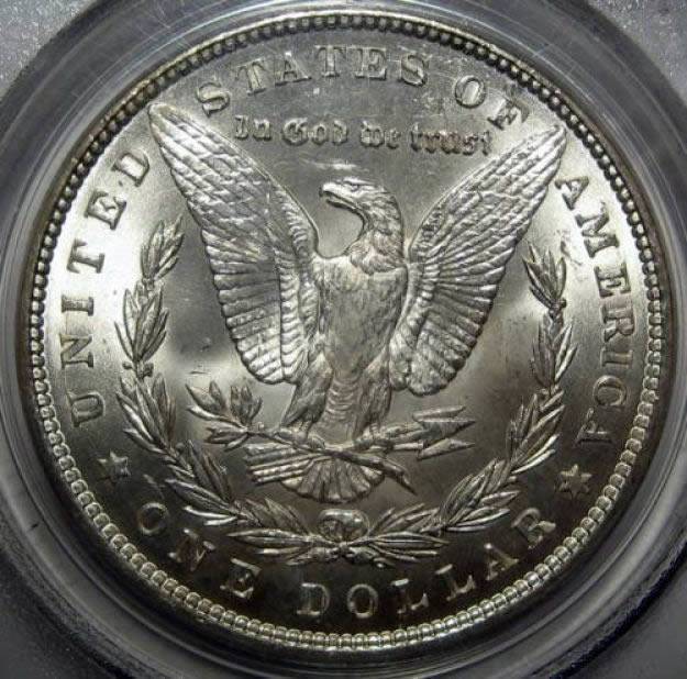 1900-Morgan-Dollar-For-Grading,-You-Vs.-PCGS-
