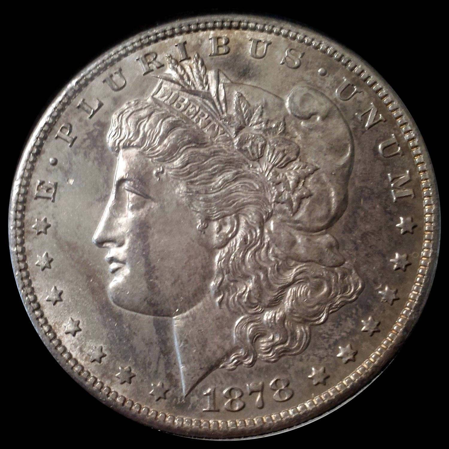 1878-S,-Heavily-Die-Polished-And-Rusted-Wing-Semi-Pl-Reverse:-V8A?-V75A?