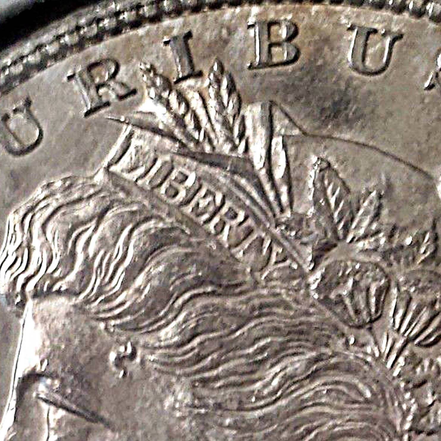 1878-S,-Heavily-Die-Polished-And-Rusted-Wing-Semi-Pl-Reverse:-V8A?-V75A?