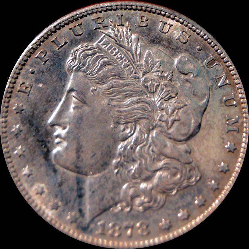 1878-S,-Heavily-Die-Polished-And-Rusted-Wing-Semi-Pl-Reverse:-V8A?-V75A?