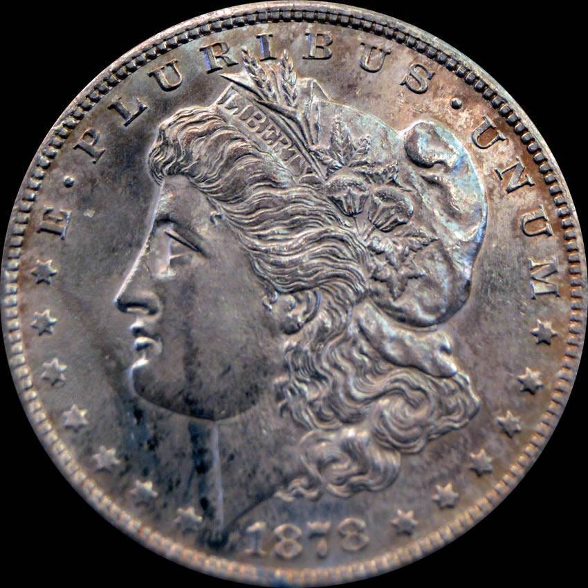 1878-S,-Heavily-Die-Polished-And-Rusted-Wing-Semi-Pl-Reverse:-V8A?-V75A?