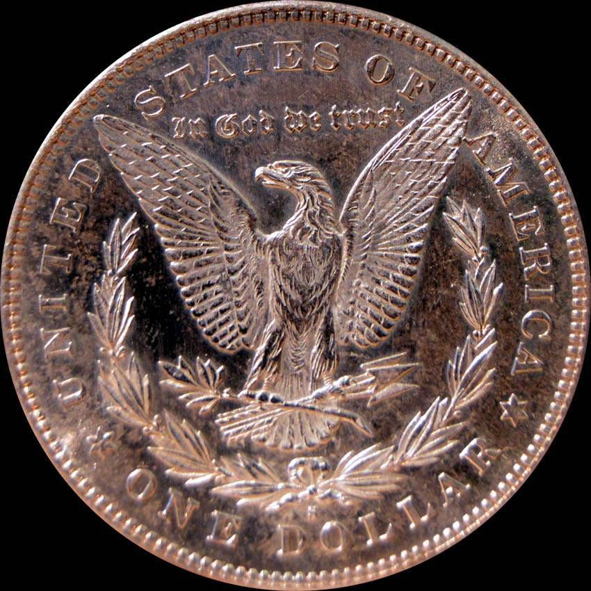 1878-S,-Heavily-Die-Polished-And-Rusted-Wing-Semi-Pl-Reverse:-V8A?-V75A?
