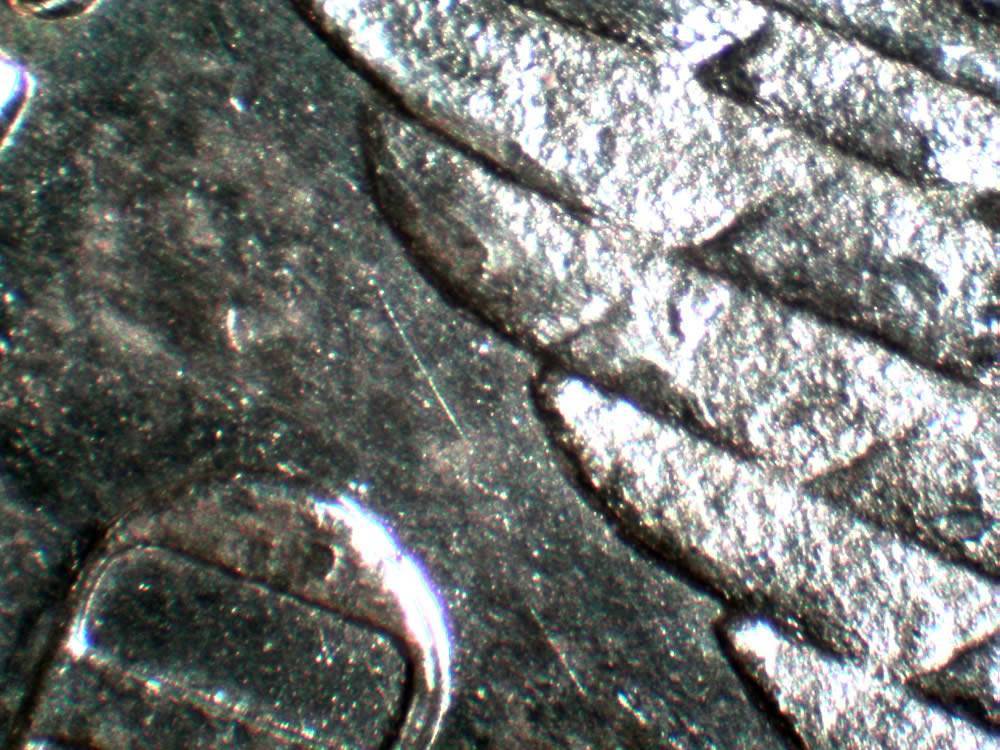 1878-S,-Heavily-Die-Polished-And-Rusted-Wing-Semi-Pl-Reverse:-V8A?-V75A?