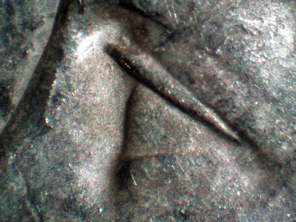 1878-S,-Heavily-Die-Polished-And-Rusted-Wing-Semi-Pl-Reverse:-V8A?-V75A?