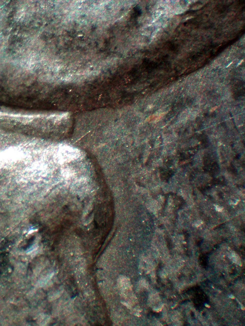 1878-S,-Heavily-Die-Polished-And-Rusted-Wing-Semi-Pl-Reverse:-V8A?-V75A?