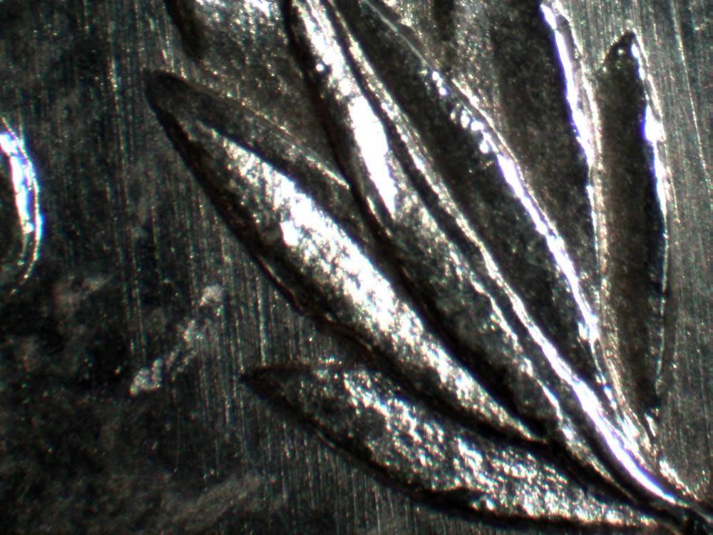 1878-S,-Heavily-Die-Polished-And-Rusted-Wing-Semi-Pl-Reverse:-V8A?-V75A?