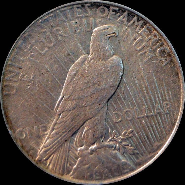 1922-D-Peace-Dollar-For-Grading