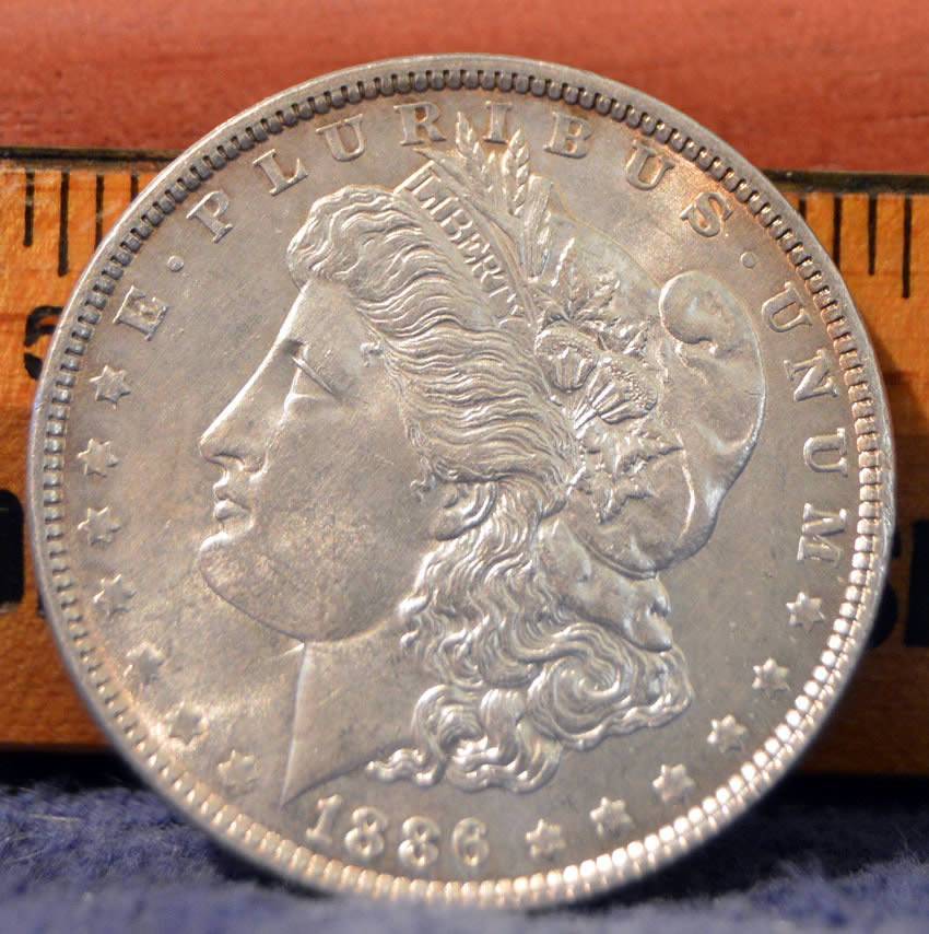 1886-Morgan-Dollar,-A-Bad-Photo-Gamble?-*new-In-Hand-Pics*