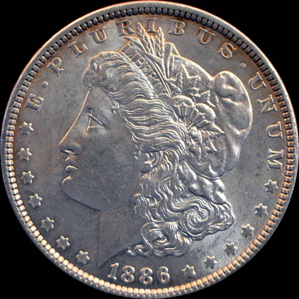1886-Morgan-Dollar,-A-Bad-Photo-Gamble?-*new-In-Hand-Pics*
