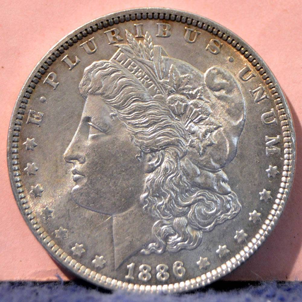 1886-Morgan-Dollar,-A-Bad-Photo-Gamble?-*new-In-Hand-Pics*