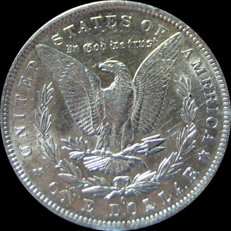 1883-O-Morgan-Dollar-For-Grading-New-Photos