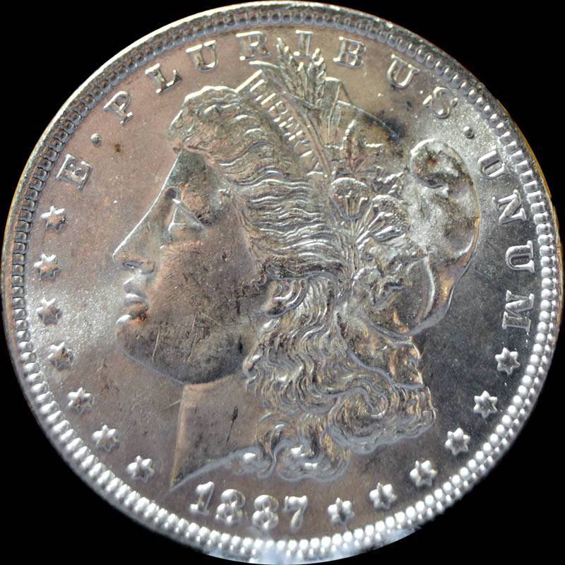 1887-Morgan-Dollar-#1-For-Grading-New-Photos