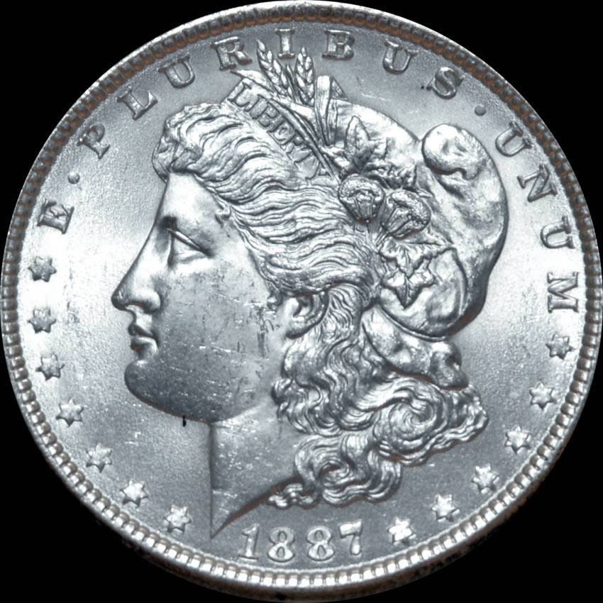 1887-Morgan-Dollar-#2-For-Grading-New-Photos
