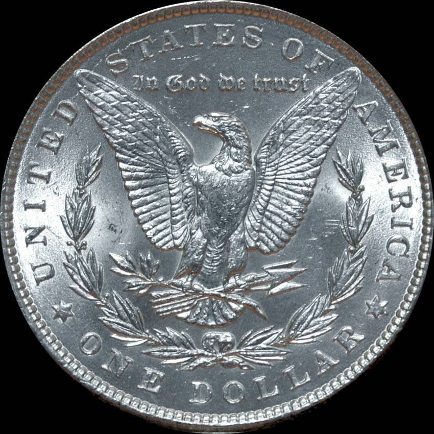 1887-Morgan-Dollar-#2-For-Grading-New-Photos
