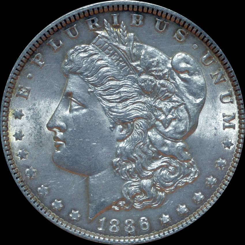 1886-Morgan-Dollar,-A-Bad-Photo-Gamble?-*new-In-Hand-Pics*