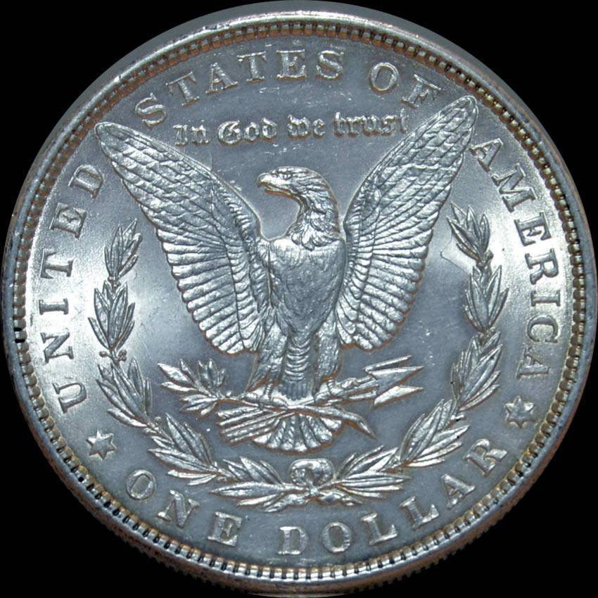 1886-Morgan-Dollar,-A-Bad-Photo-Gamble?-*new-In-Hand-Pics*