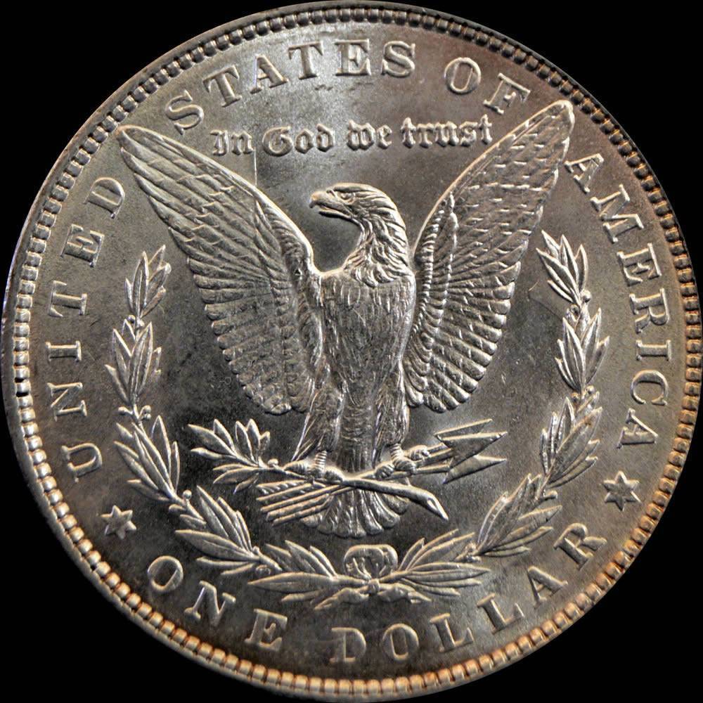 1886-Morgan-Dollar,-A-Bad-Photo-Gamble?-*new-In-Hand-Pics*