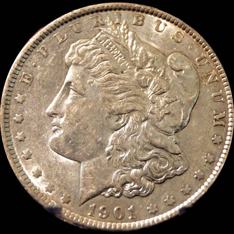 1901-Morgan-Dollar-For-Grading-PCGS-Crack-Out