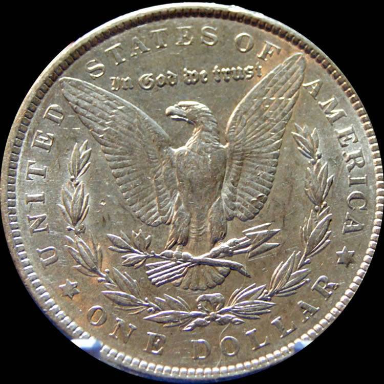 1901-Morgan-Dollar-For-Grading-PCGS-Crack-Out