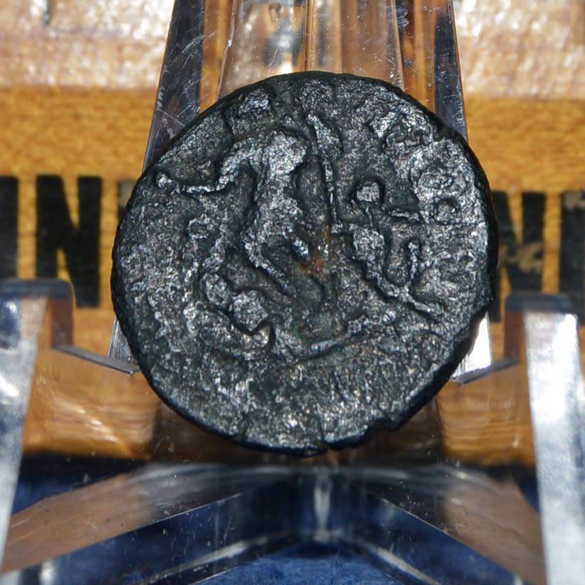 Help-Identify-This-Ae-Of-Arcadius-Please!