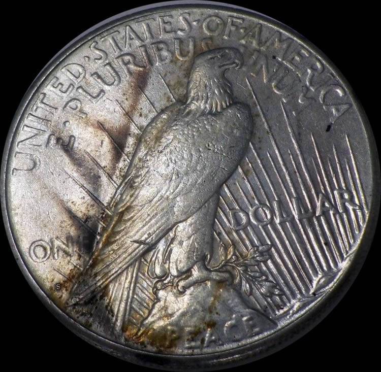 1925-S-Peace-Dollar-For-Grading