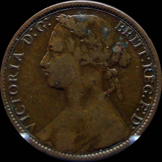 Continuing-List-To-Show-Everyones-Latest-Acquisitions
