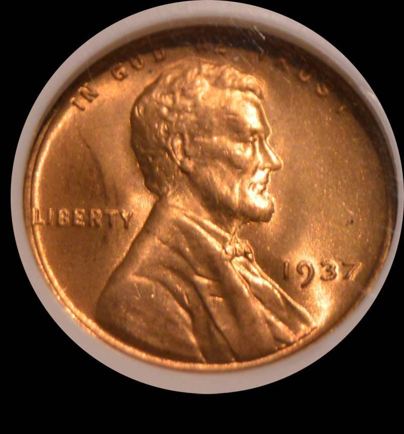 All-Members,-Post-Your-Most-Recent-US-Coin-Purchases!