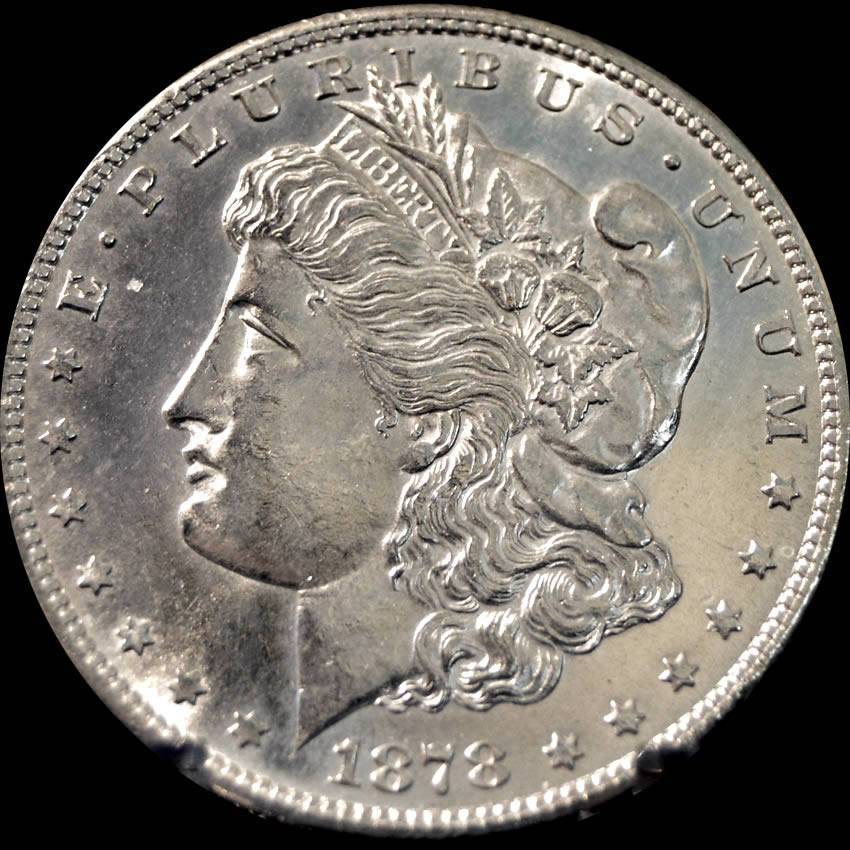Continuing-List-To-Show-Everyones-Latest-Acquisitions