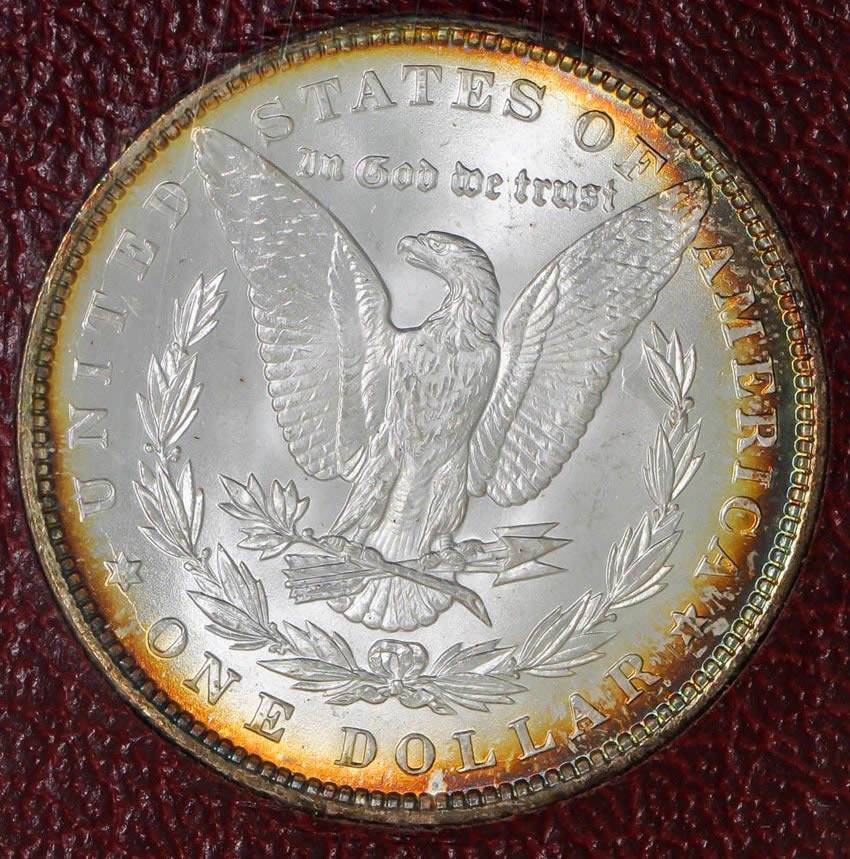 1884-Morgan-Dollar-For-Grading-Vs.-NGC-&-Paramount
