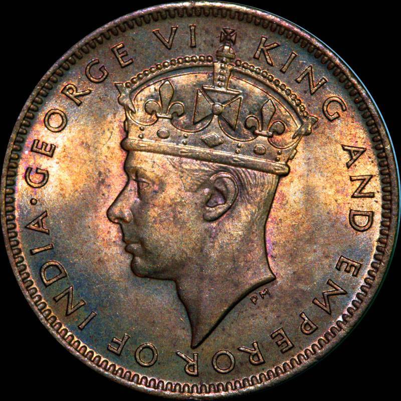 166-Days-Of-Yakko's-World-Coins