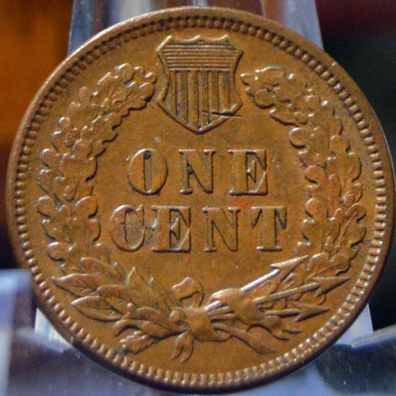 1905-Indian-Head-Cent-For-Grading