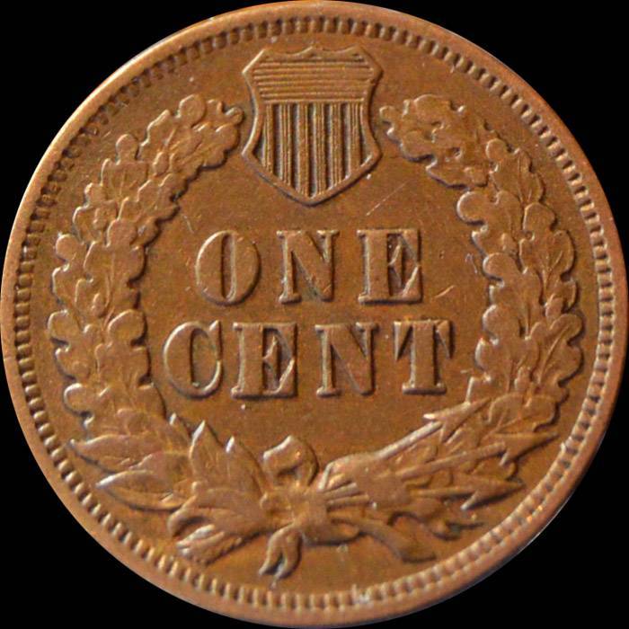 1905-Indian-Head-Cent-For-Grading